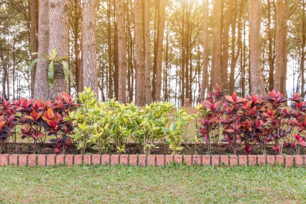 Small Garden Landscaping in Macomb