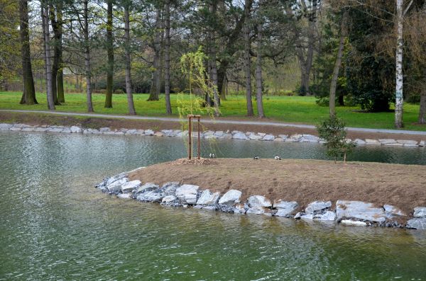 Pond Landscaping Service in Macomb