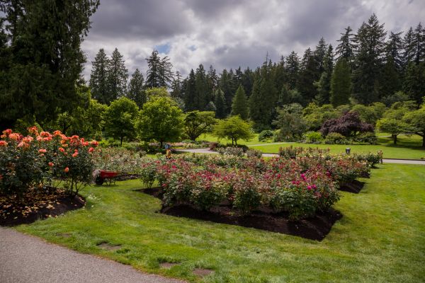 Flower Garden Landscaping in Macomb