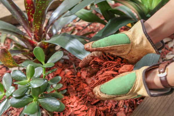 Residential Mulching in Macomb