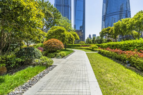 Commercial Landscaping in Macomb
