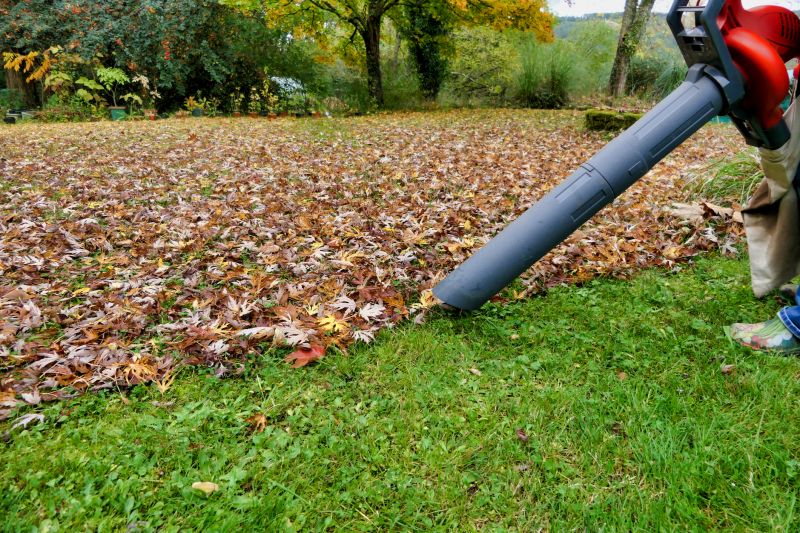 Leaf Blowing Method