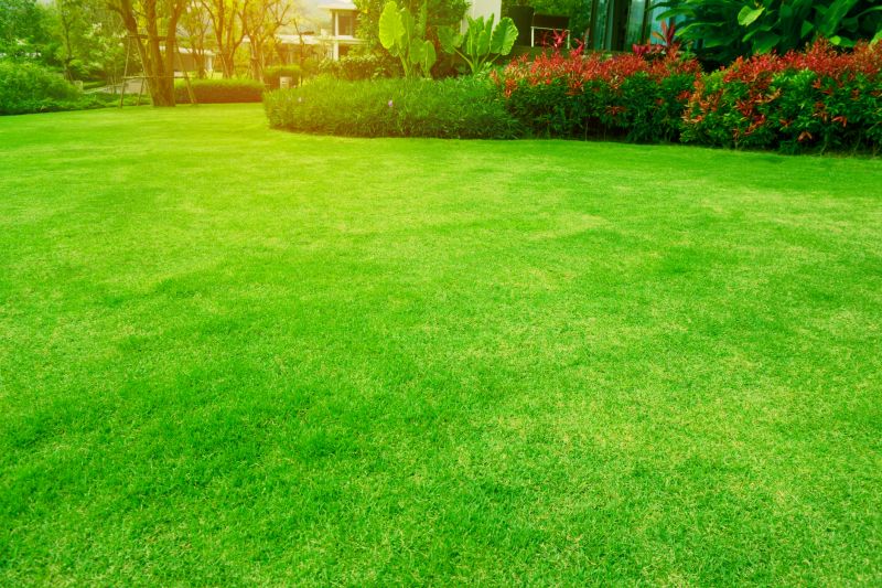 Lawn And Garden Installation
