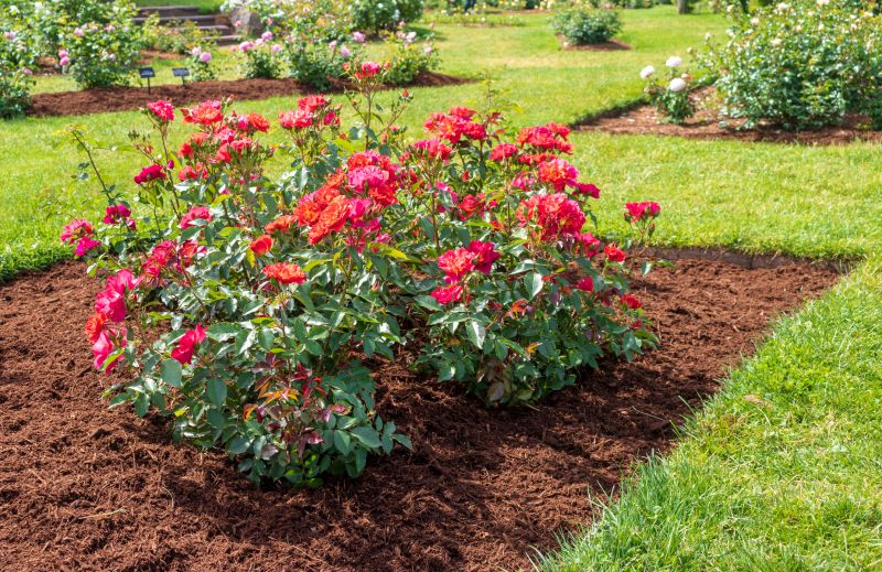 Plant Bed Mulching