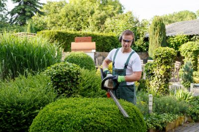 Tree and Shrub Care Specialists